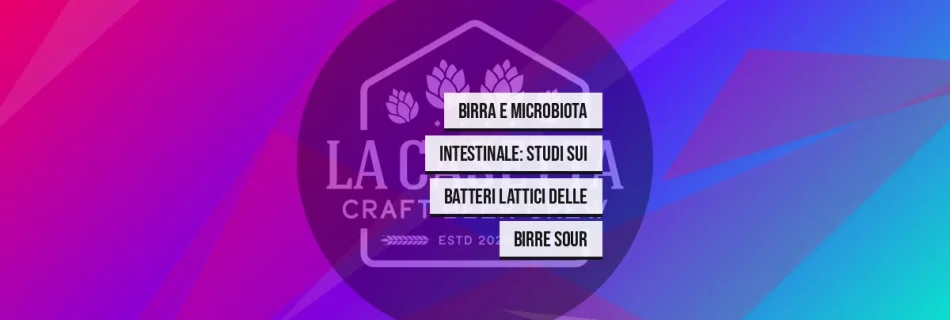 Birra e Microbiota Intestinale: Studi sui Batteri Lattici delle Birre Sour