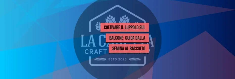 Coltivare Il Luppolo Sul Balcone: Guida Dalla Semina Al Raccolto