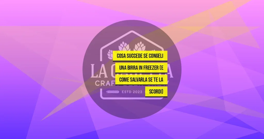 Cosa Succede Se Congeli Una Birra In Freezer (E Come Salvarla Se Te La Scordi)