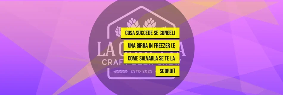Cosa Succede Se Congeli Una Birra In Freezer (E Come Salvarla Se Te La Scordi)