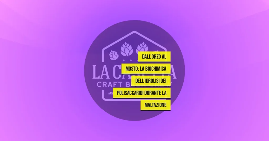 Dall’Orzo al Mosto: La Biochimica dell’Idrolisi dei Polisaccaridi Durante la Maltazione