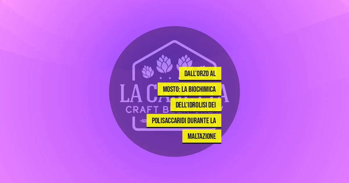 Dall’Orzo al Mosto: La Biochimica dell’Idrolisi dei Polisaccaridi Durante la Maltazione
