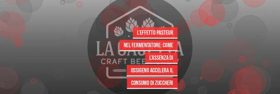 L’Effetto Pasteur nel Fermentatore: Come l’Assenza di Ossigeno Accelera il Consumo di Zuccheri