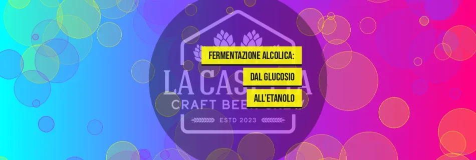 Fermentazione Alcolica: dal Glucosio all’Etanolo