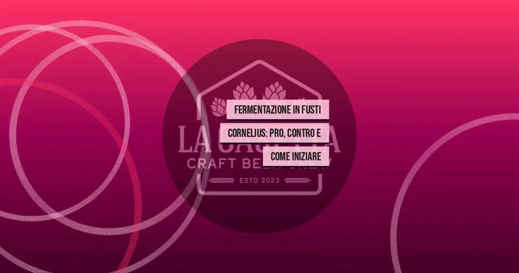 Fermentazione in Fusti Cornelius: Pro, Contro e Come Iniziare