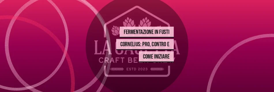 Fermentazione in Fusti Cornelius: Pro, Contro e Come Iniziare