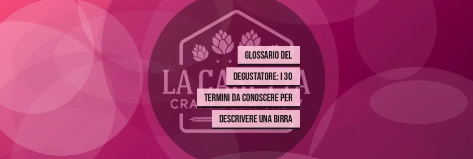 Glossario del Degustatore: i 30 Termini da Conoscere per Descrivere una Birra