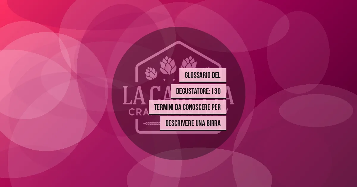 Glossario del Degustatore: i 30 Termini da Conoscere per Descrivere una Birra