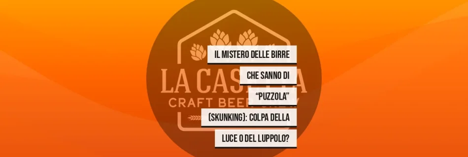 Il Mistero Delle Birre Che Sanno Di “Puzzola” (Skunking): Colpa Della Luce O Del Luppolo?
