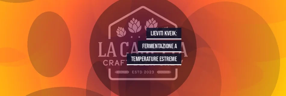 Lieviti Kveik: Fermentazione a Temperature Estreme