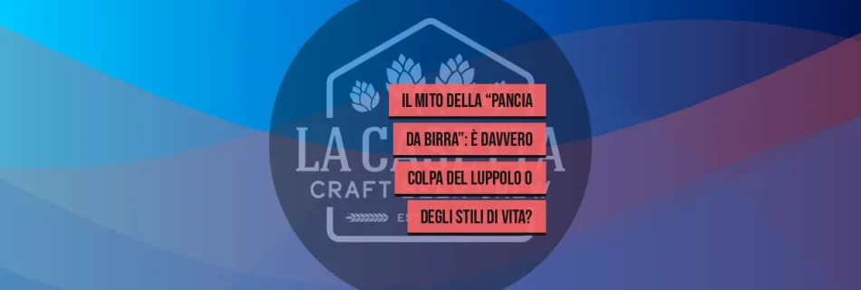 Il Mito della “Pancia da Birra”: È Davvero Colpa del Luppolo o degli Stili di Vita?