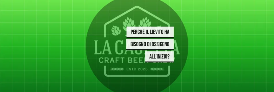 Perché il Lievito ha Bisogno di Ossigeno all’Inizio?
