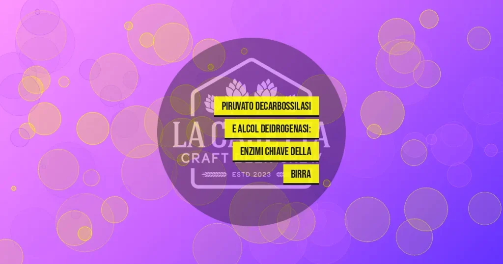 Piruvato Decarbossilasi e Alcol Deidrogenasi: Enzimi Chiave della Birra