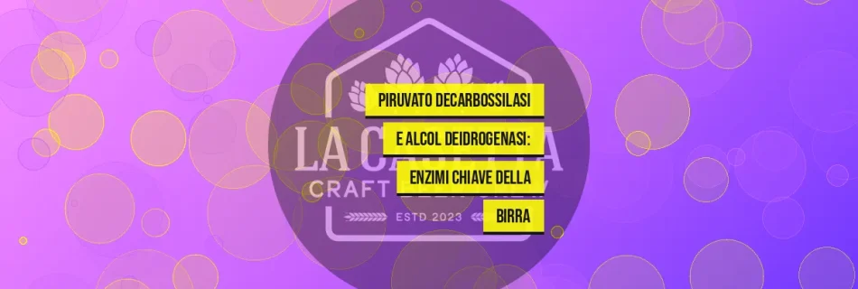 Piruvato Decarbossilasi e Alcol Deidrogenasi: Enzimi Chiave della Birra