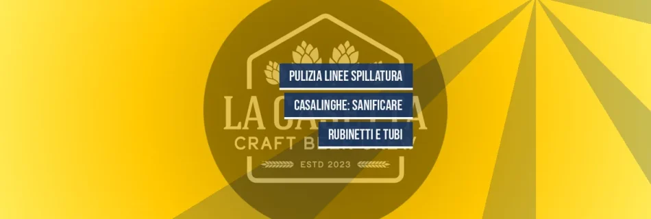 Pulizia Linee Spillatura Casalinghe: Sanificare Rubinetti e Tubi