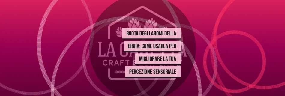 Ruota Degli Aromi Della Birra: Come Usarla Per Migliorare La Tua Percezione Sensoriale