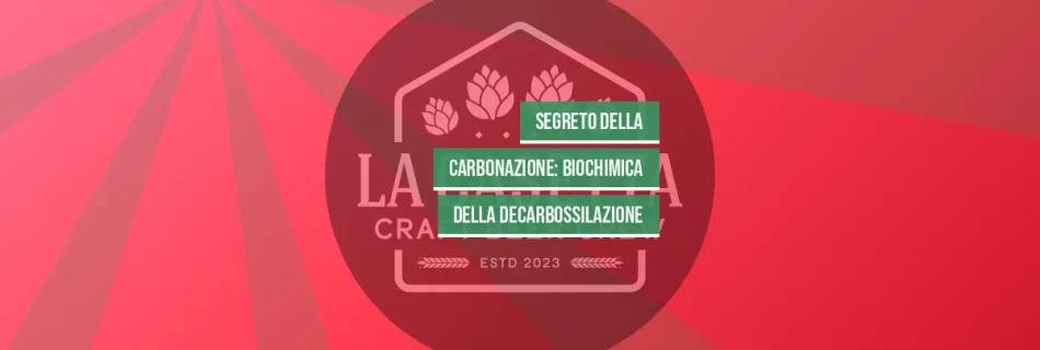 Segreto della Carbonazione: Biochimica della Decarbossilazione