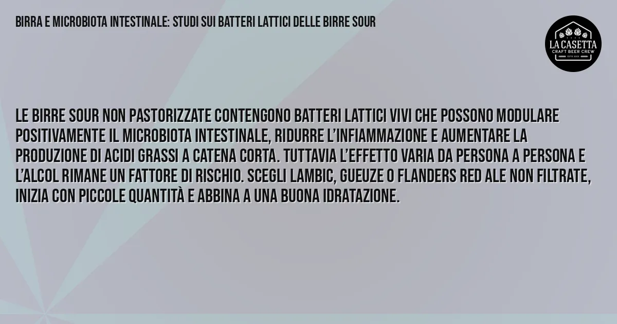 Sintesi TL;DR: Birra e Microbiota Intestinale: Studi sui Batteri Lattici delle Birre Sour