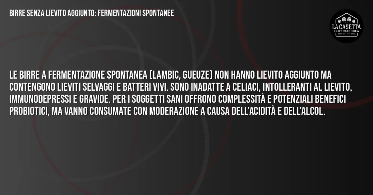 Sintesi TL;DR: Birre Senza Lievito Aggiunto: Fermentazioni Spontanee