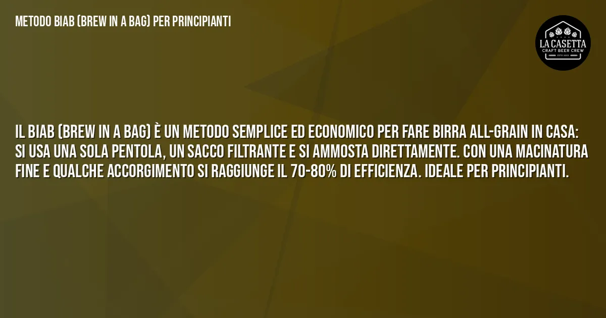 Sintesi TL;DR: Metodo BIAB (Brew in a Bag) per Principianti Sintesi TL;DR: Metodo BIAB (Brew in a Bag) per Principianti