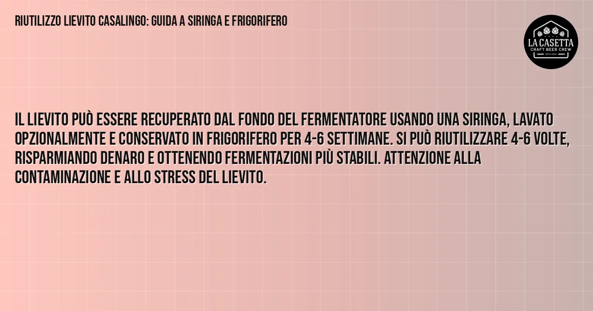 Sintesi TL;DR: Riutilizzo Lievito Casalingo: Guida a Siringa e Frigorifero Sintesi TL;DR: Riutilizzo Lievito Casalingo: Guida a Siringa e Frigorifero
