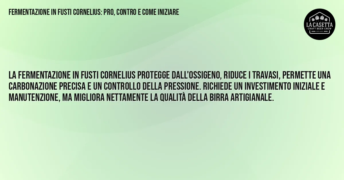 Sintesi TL;DR: Fermentazione in Fusti Cornelius: Pro, Contro e Come Iniziare Sintesi TL;DR: Fermentazione in Fusti Cornelius: Pro, Contro e Come Iniziare