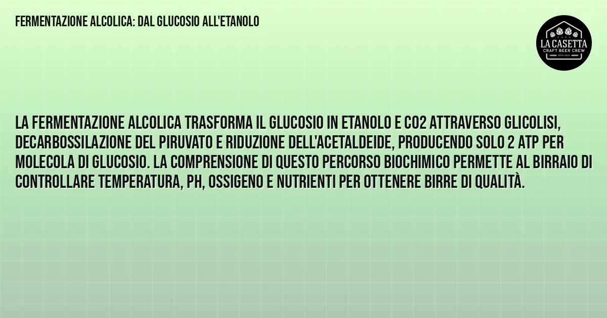 Sintesi TL;DR: Fermentazione Alcolica: dal Glucosio all'Etanolo Sintesi TL;DR: Fermentazione Alcolica: dal Glucosio all'Etanolo
