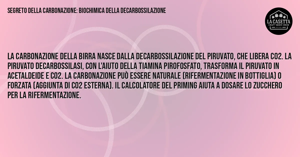 Sintesi TL;DR: Segreto della Carbonazione: Biochimica della Decarbossilazione