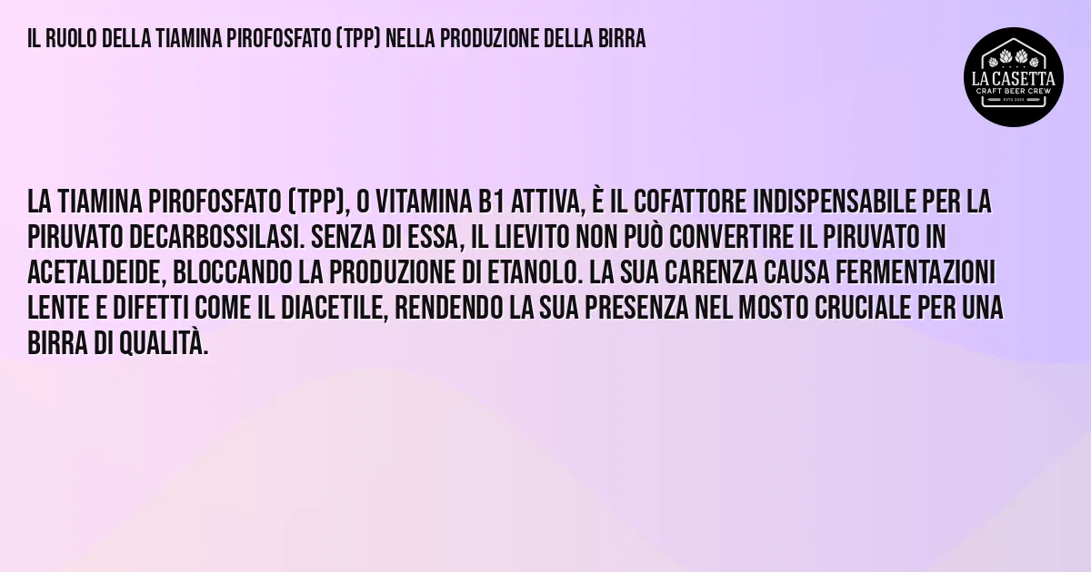 Sintesi TL;DR: Il Ruolo della Tiamina Pirofosfato (TPP) nella Produzione della Birra Sintesi TL;DR: Il Ruolo della Tiamina Pirofosfato (TPP) nella Produzione della Birra
