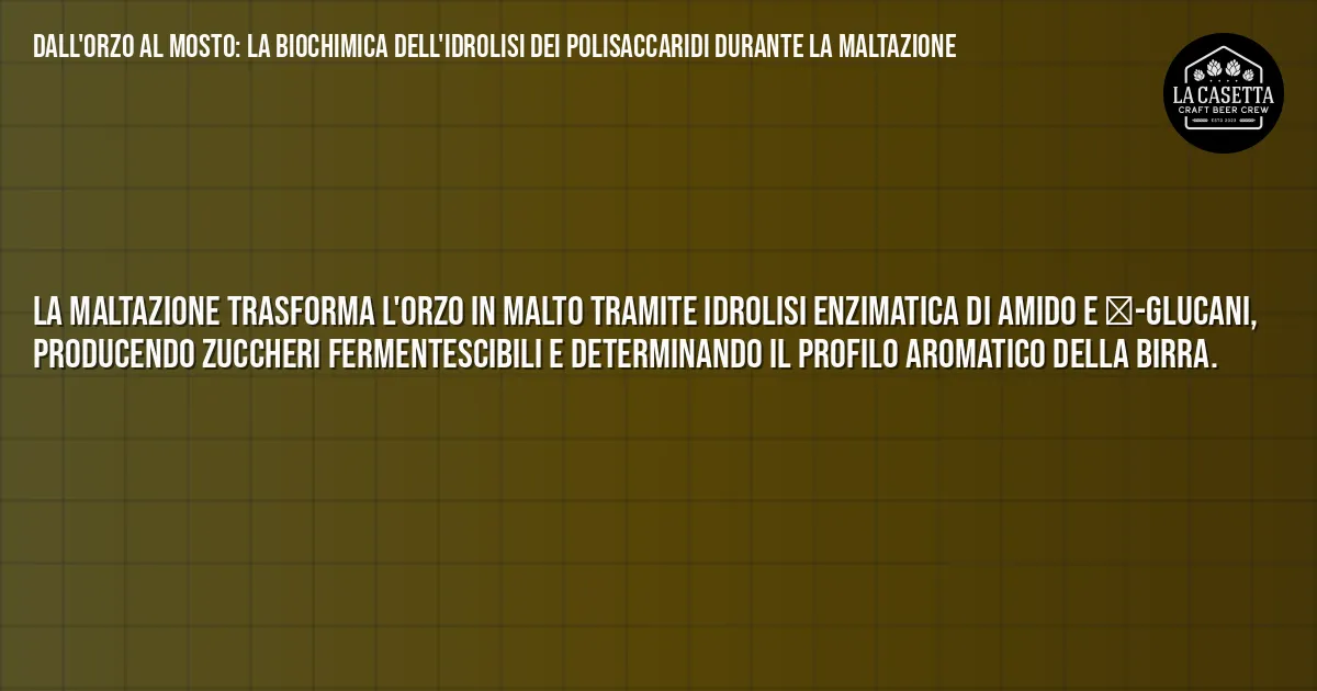 Sintesi TL;DR: Dall'Orzo al Mosto: La Biochimica dell'Idrolisi dei Polisaccaridi Durante la Maltazione