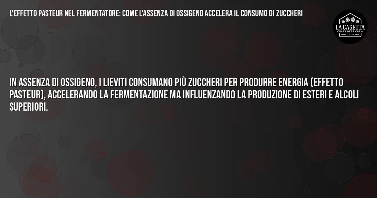 Sintesi TL;DR: L'Effetto Pasteur nel Fermentatore: Come l'Assenza di Ossigeno Accelera il Consumo di Zuccheri