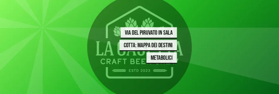 Via del Piruvato in Sala Cotta: Mappa dei Destini Metabolici