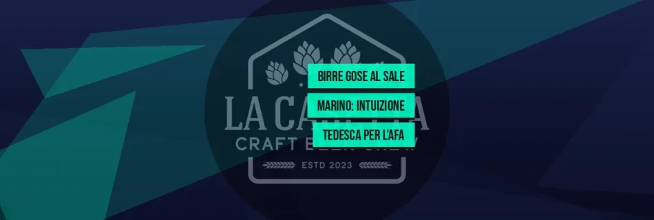 Birre Gose al Sale Marino: Intuizione Tedesca per l’Afa