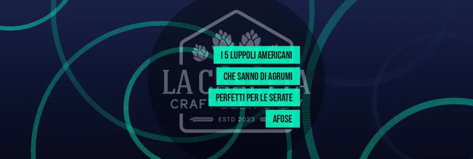 I 5 luppoli americani che sanno di agrumi perfetti per le serate afose