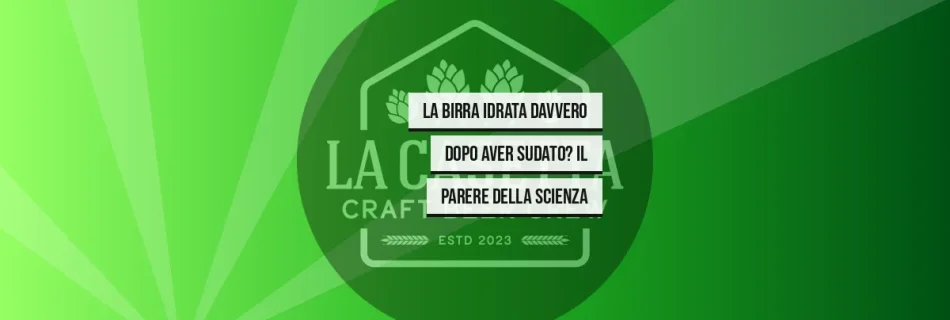 La Birra Idrata Davvero Dopo Aver Sudato? Il Parere Della Scienza
