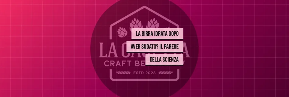 La Birra Idrata dopo Aver Sudato? Il Parere della Scienza