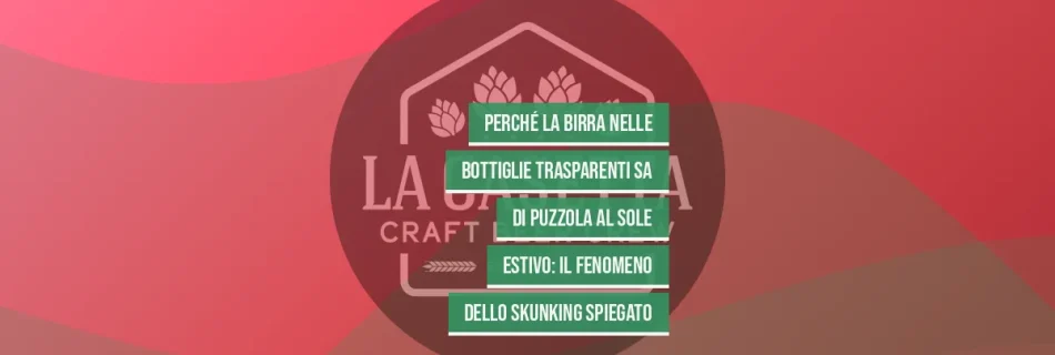 Perché la birra nelle bottiglie trasparenti sa di puzzola al sole estivo: il fenomeno dello skunking spiegato