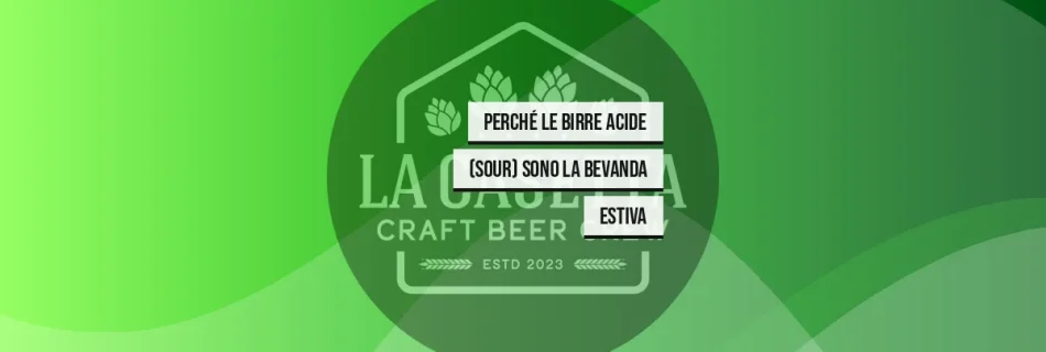 Perché le Birre Acide (Sour) Sono la Bevanda Estiva