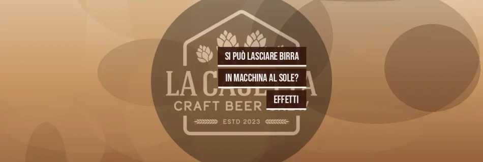 Si Può Lasciare Birra in Macchina al Sole? Effetti