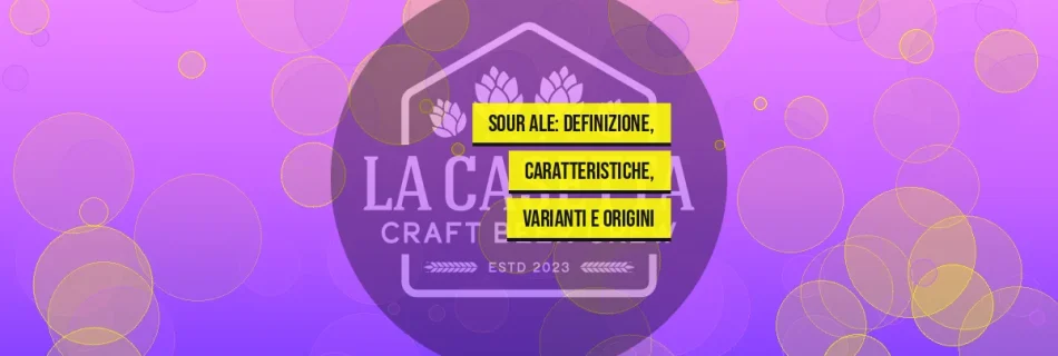 Sour Ale: definizione, caratteristiche, varianti e origini