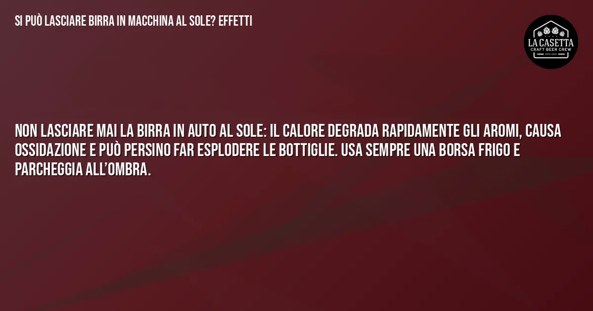 Sintesi TL;DR: Si Può Lasciare Birra in Macchina al Sole? Effetti