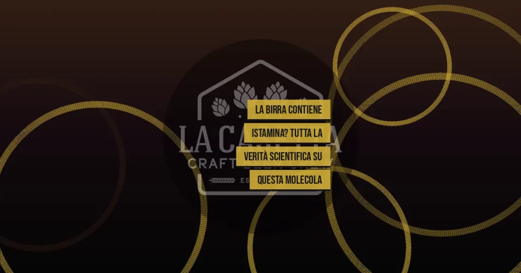 La Birra Contiene Istamina? Tutta la Verità Scientifica su Questa Molecola