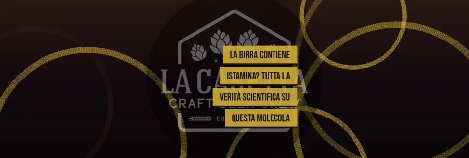 La Birra Contiene Istamina? Tutta la Verità Scientifica su Questa Molecola
