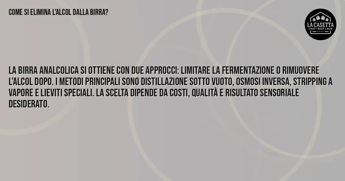 Sintesi TL;DR: Come Si Elimina l'Alcol dalla Birra? Sintesi TL;DR: Come Si Elimina l'Alcol dalla Birra?