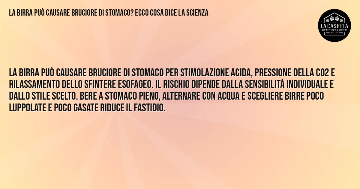 Sintesi TL;DR: La birra può causare bruciore di stomaco? Ecco cosa dice la scienza Sintesi TL;DR: La birra può causare bruciore di stomaco? Ecco cosa dice la scienza