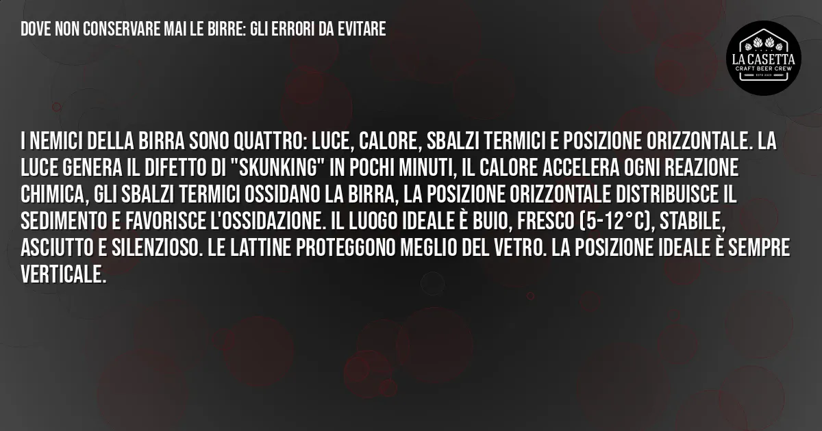 Sintesi TL;DR: Dove non conservare mai le birre: gli errori da evitare Sintesi TL;DR: Dove non conservare mai le birre: gli errori da evitare