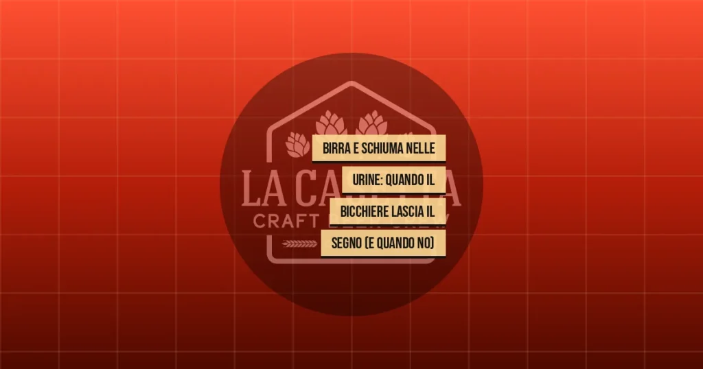 Birra e Schiuma nelle Urine: Quando il Bicchiere Lascia il Segno (e Quando No)