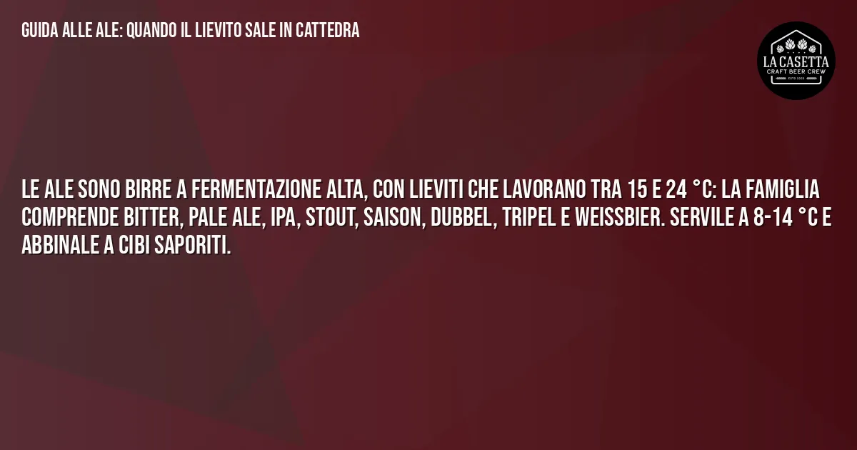 Sintesi TL;DR: Guida alle Ale: Quando il Lievito Sale in Cattedra
