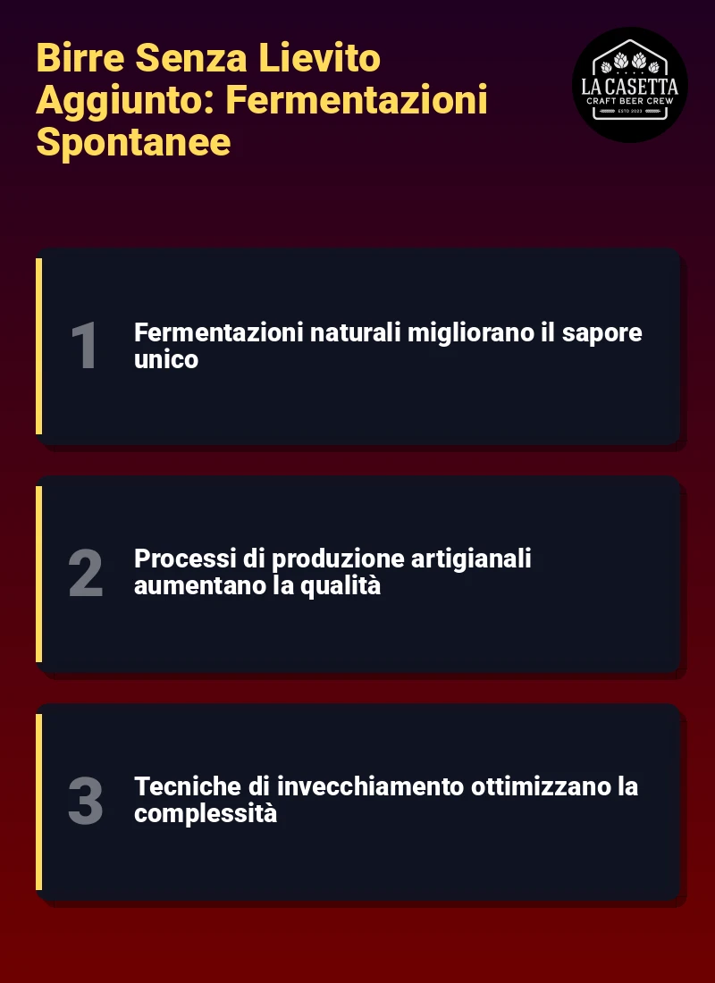 Infografica: Birre Senza Lievito Aggiunto: Fermentazioni Spontanee