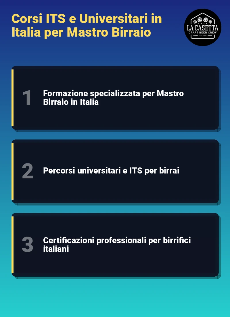 Infografica: Corsi ITS e Universitari in Italia per Mastro Birraio
